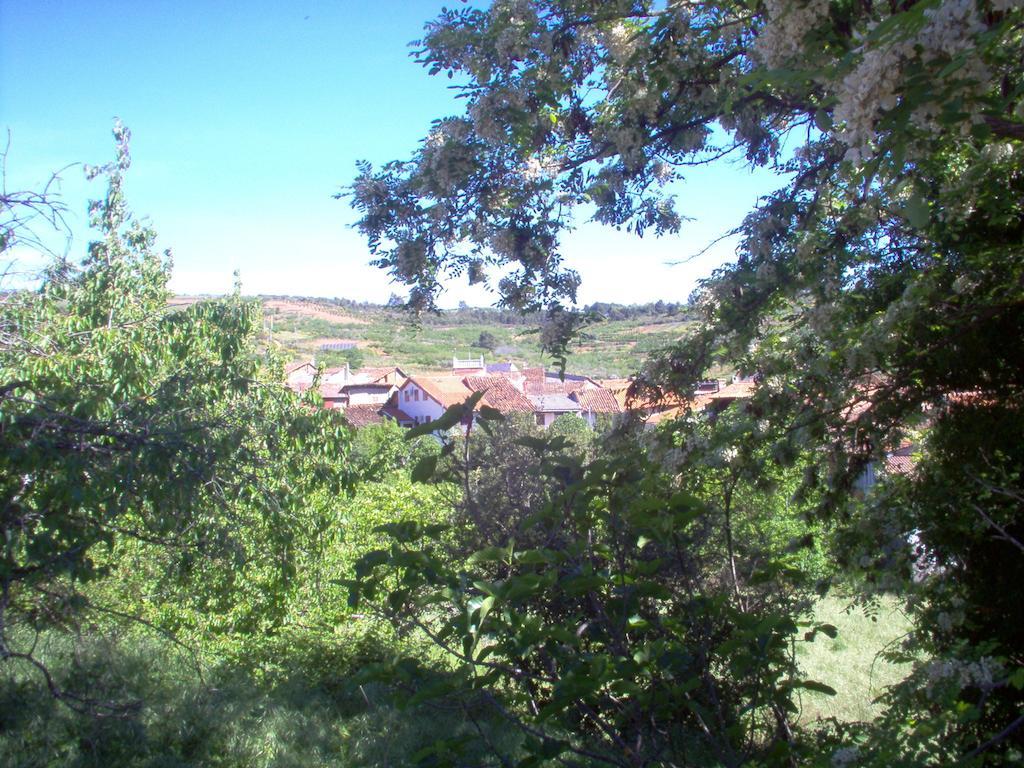 Apartamento El Dragon Serrano Sotoserrano Exterior photo